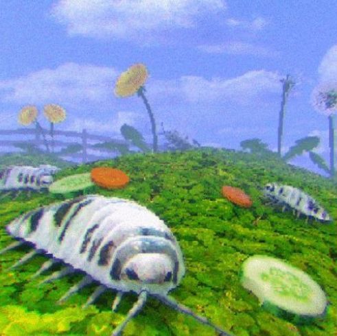 Reference image: surreal moss landscape with woodlice