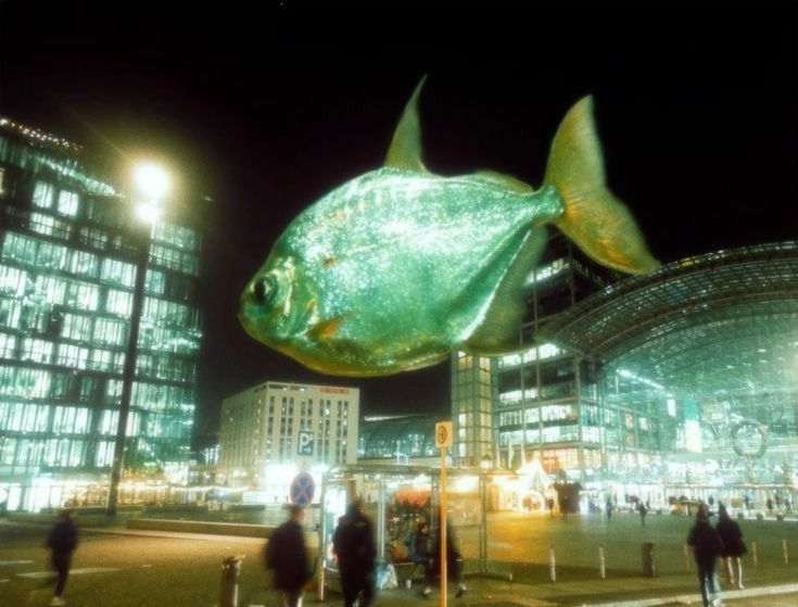 Reference image: giant fish floating in city